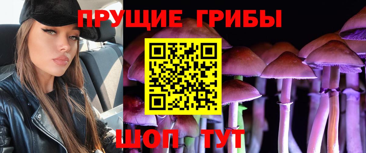 Черняховск  цены   Псилоцибиновые грибы мицелий  Вход с VPN  Галлюциногенные грибы Psilocybine cubensis 