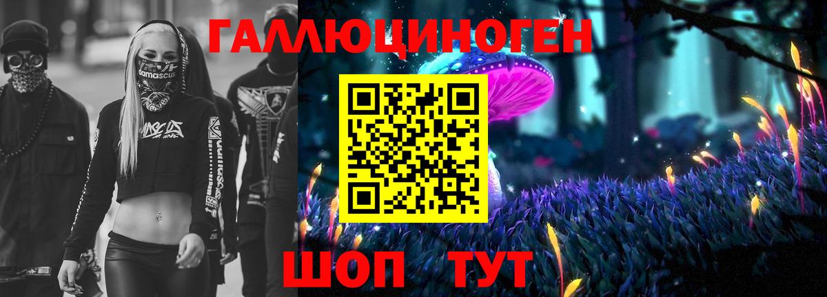 Псилоцибиновые грибы мухоморы Черняховск